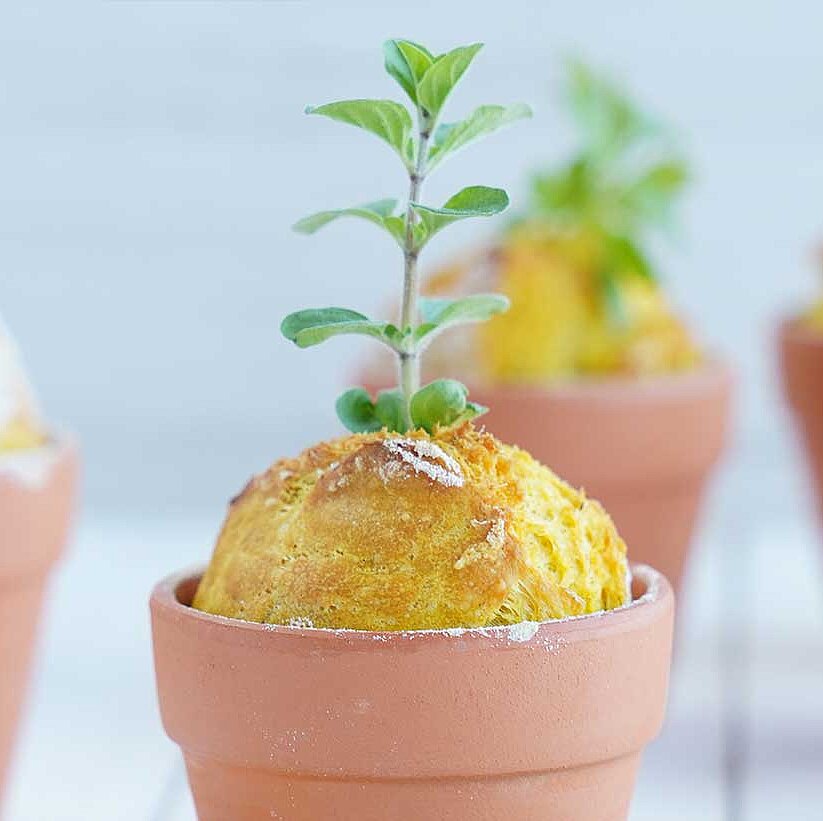 GAZİ Sally Brötchen im Tontopf