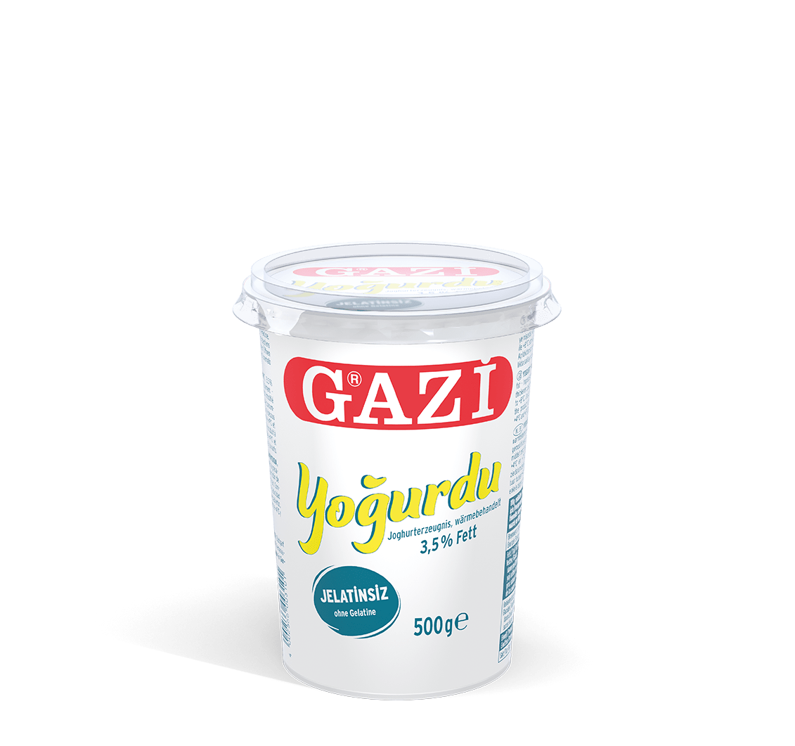 GAZi Joghurt Yogurdu 500g