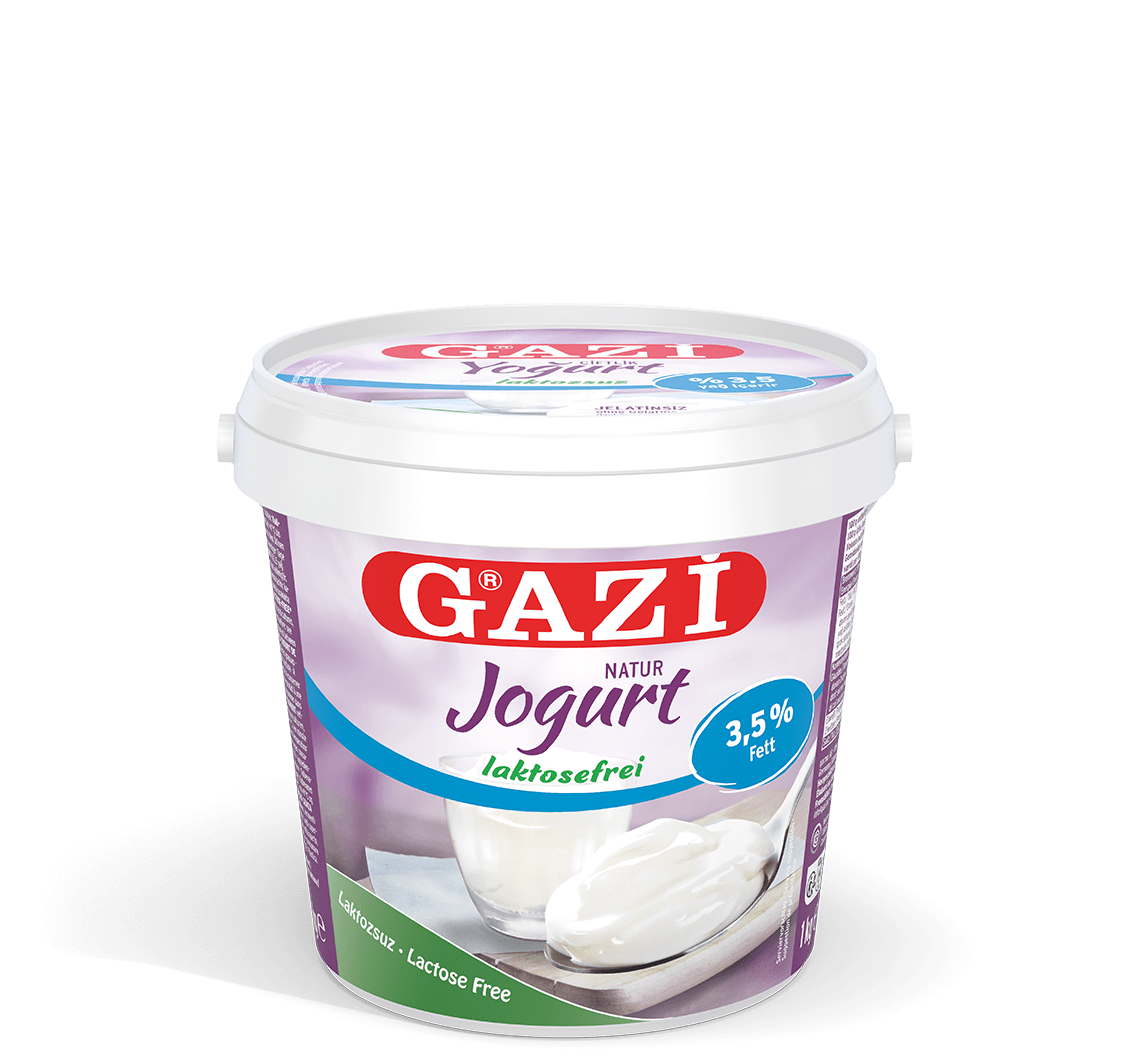 GAZi Laktosefrei Joghurt Natur 1kg