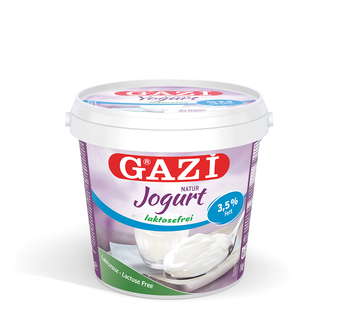 GAZi Laktosefrei Joghurt Natur 1kg