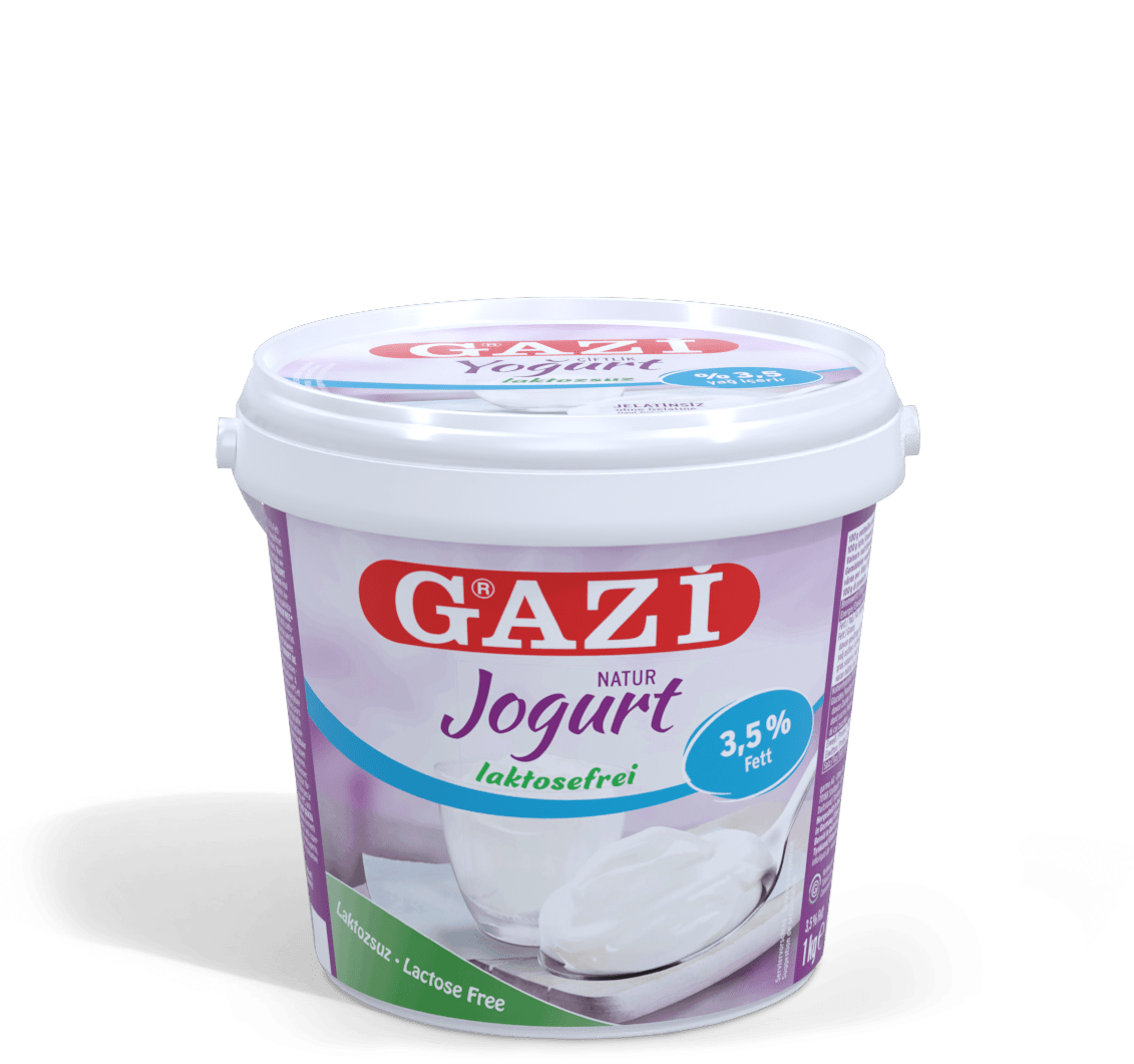 GAZi Laktosefrei Joghurt Natur 1kg